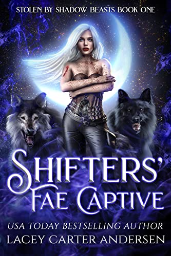 Shifters' Fae Captive (Stolen by Shadow Beasts Book 1)