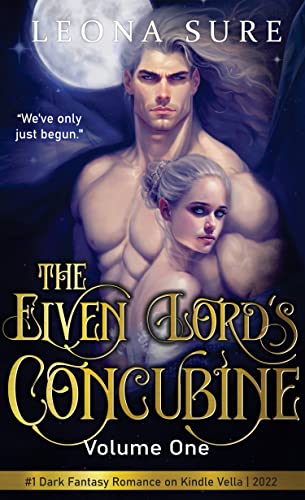 The Elven Lord's Concubine (Book 1)