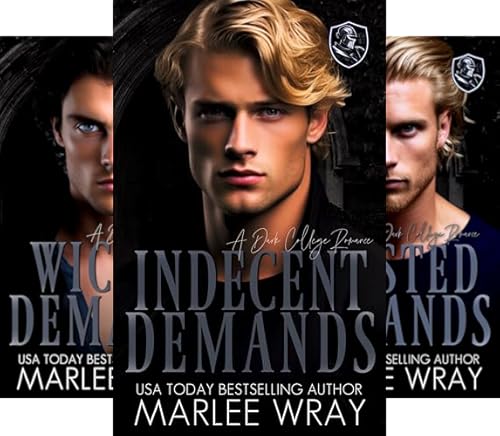 Indecent Demands (Dark Knights Book 1)