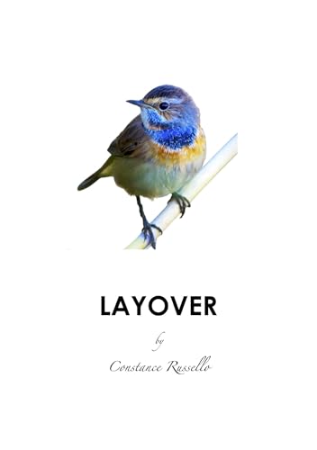 Layover (Encounters Book 3)