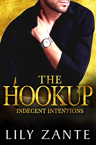 The Hookup (Indecent Intentions Book 2)