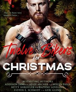 Twelve Bikers for Christmas