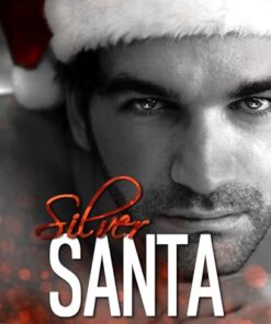 Silver Santa (Silver Brothers Securities Book 1)