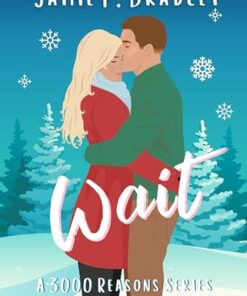 WAIT: A 3000 Reasons Series Novella (3000 Reasons Spicy RomCom Series)