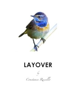 Layover (Encounters Book 3)