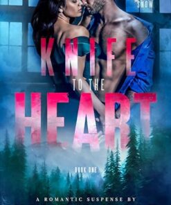 Knife to the Heart (Blood Snow Book 1)