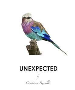 Unexpected (Encounters Book 2)