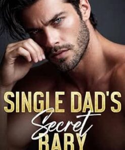 Single Dad's Secret Baby (Sinfully Single Dads Book 1)