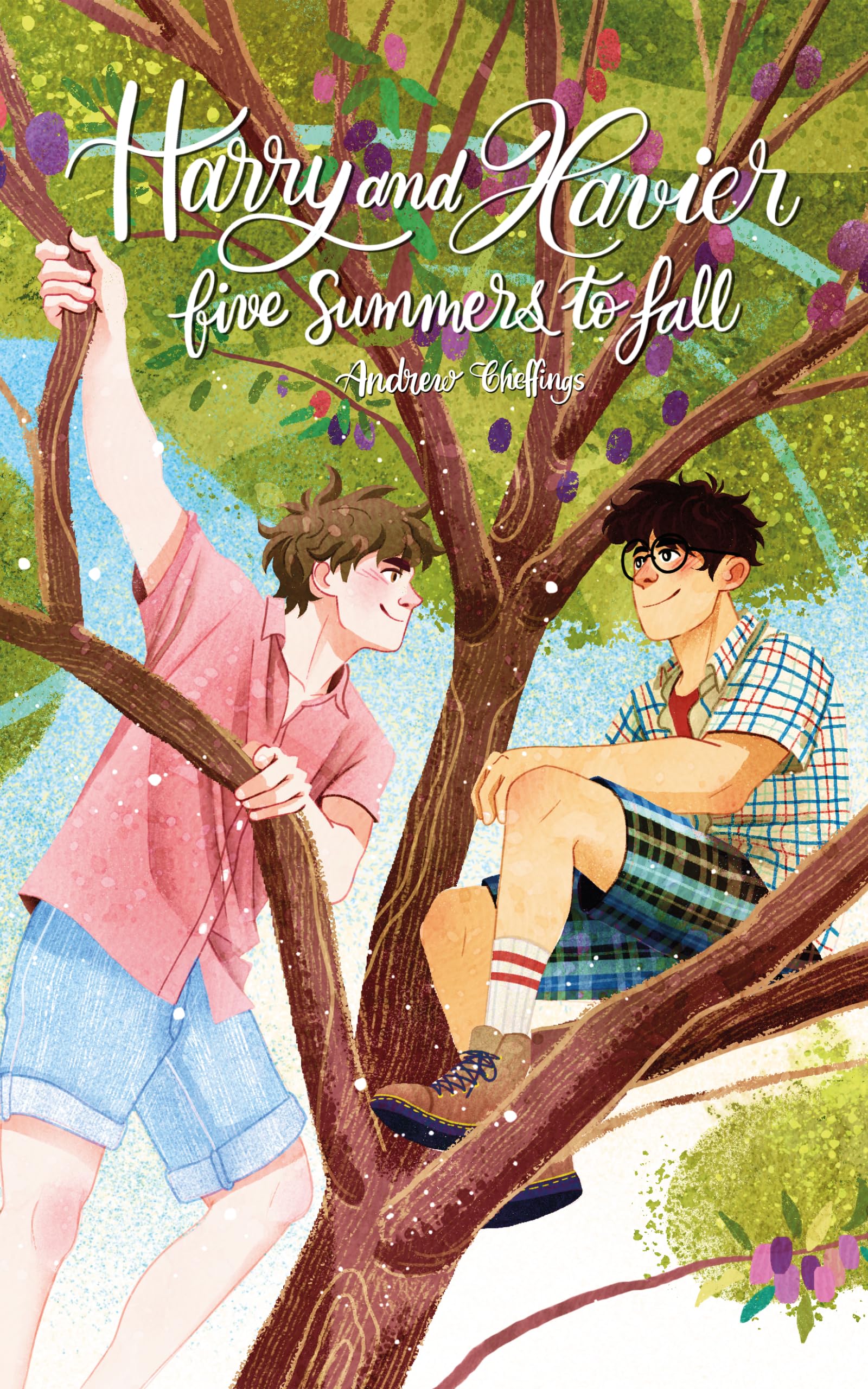 Harry and Xavier: Five Summers to Fall