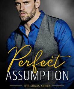 Perfect Assumption (Midas Series Book 1)