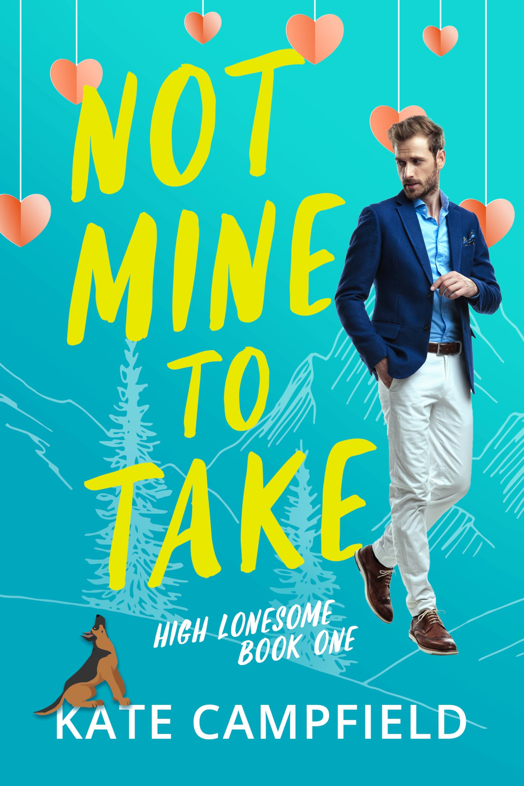 Not Mine to Take (High Lonesome Book 1)