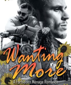 Wanting More (Small Town Forbidden Love Book 2)