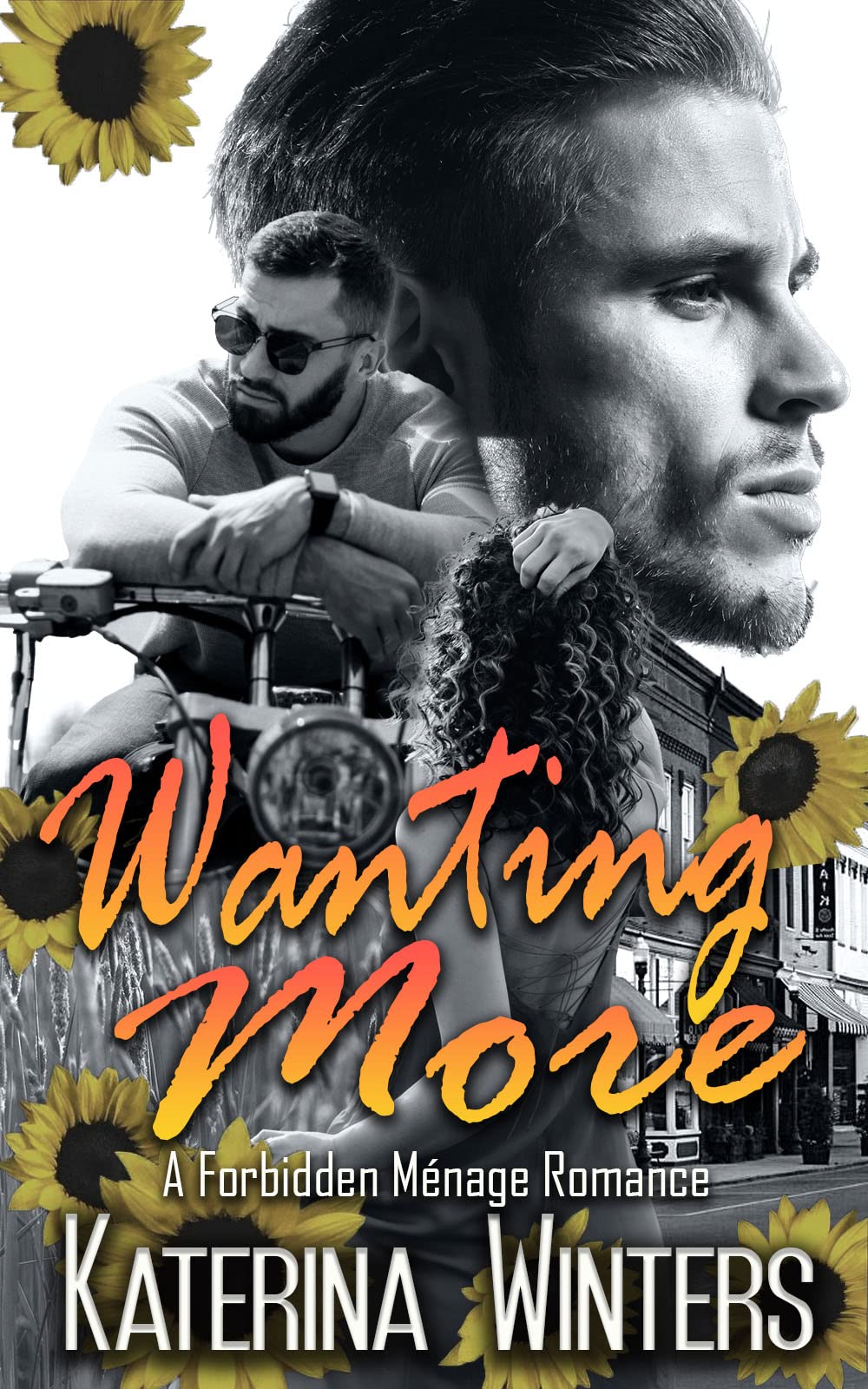 Wanting More (Small Town Forbidden Love Book 2)