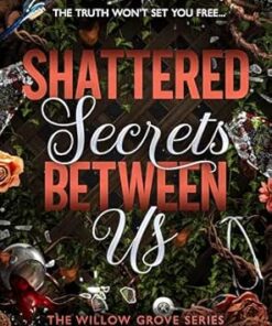 Shattered Secrets Between Us (The Willow Grove series Book 1)