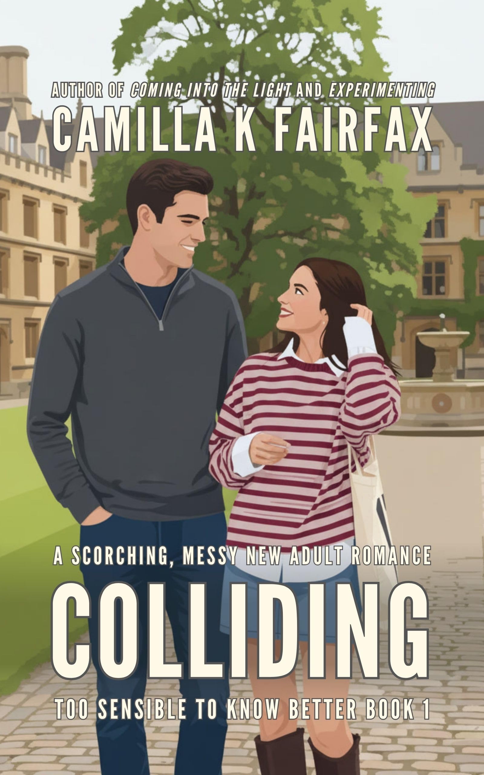Colliding (Too Sensible To Know Better Book 1)