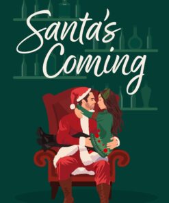 Santa's Coming (High Five Novella Book 1)