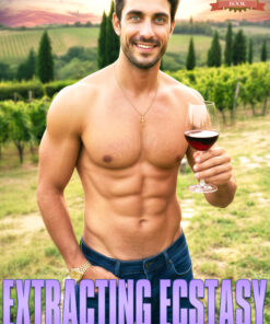 Extracting Ecstasy (H.A.V.E.N. Hidden Ally Vigilante Extraction Network Book 6)