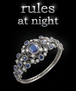 Rules at Night (at Night Series Book 4)