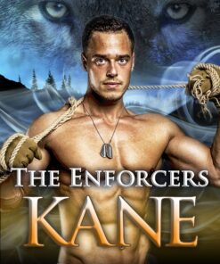 The Enforcers: KANE (Silverlake Enforcers Book 1)