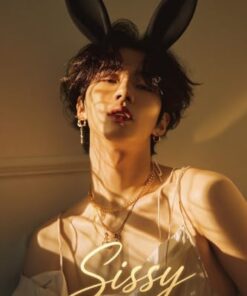 Sissy (Dark K-Pop Romance Series)