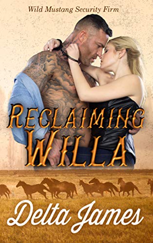 Reclaiming Willa (Wild Mustang Security Firm Book 1)