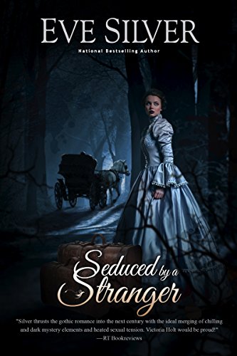 Seduced by a Stranger (Dark Gothic Book 5)