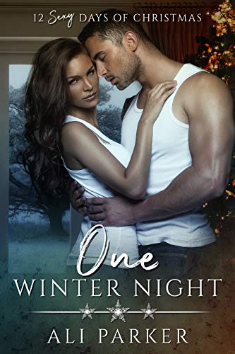 One Winter Night (The Parker’s 12 Days of Christmas Book 1)