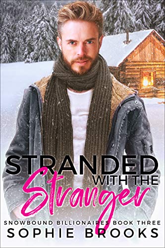Stranded with the Stranger (Snowbound Billionaires Book 3)