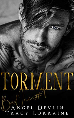 Torment (B.A.D. Inc Book 1)