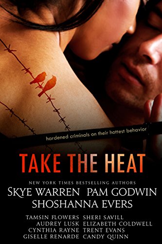 Take the Heat (A Criminal Romance Anthology)