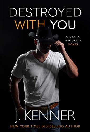 Destroyed With You (Stark Security Book 5)