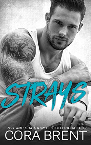 Strays: An Anti-Hero Romance