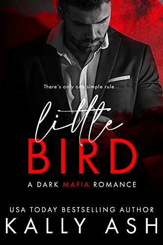 Little Bird (Dirty Deeds Book 1)