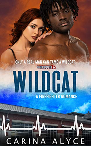 Wildcat (MetroGen After Hours Book 1)