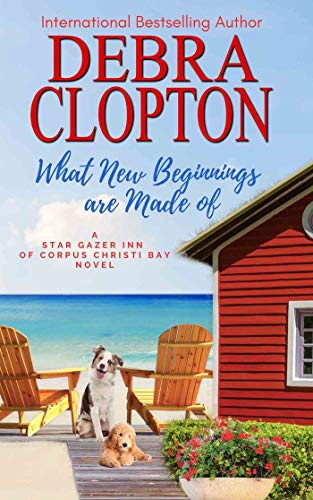What New Beginnings Are Made Of (Star Gazer Inn of Corpus Christi Bay Book 1)