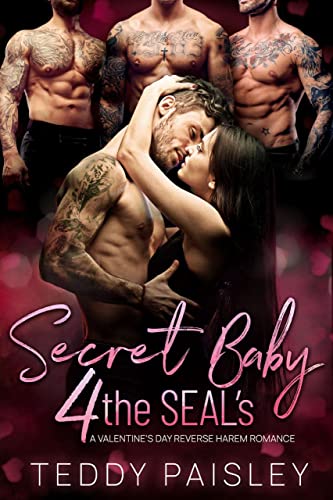 Secret Baby 4 the SEAL’s