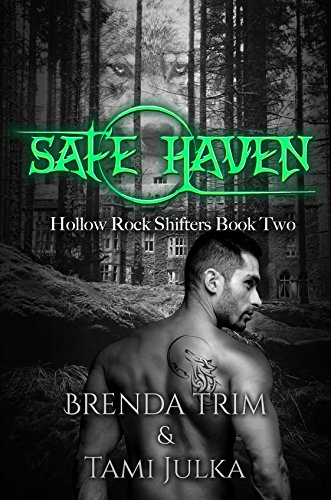 Safe Haven (Hollow Rock Shifters Book 2)