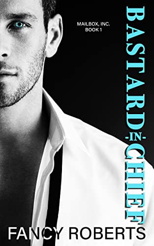 Bastard-in-Chief (Mailbox, Inc Book 1)