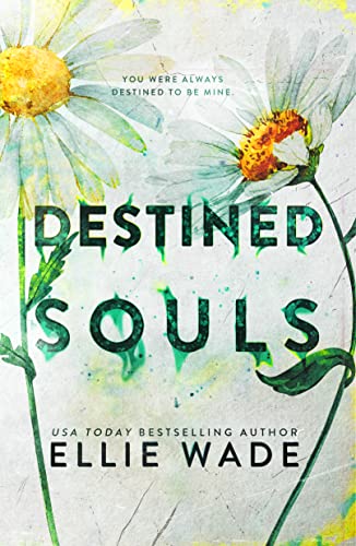 Destined Souls (The Beautiful Souls Collection Book 5)