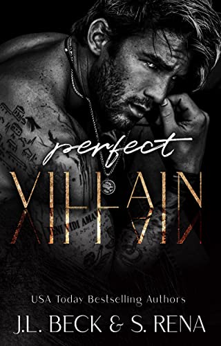 Perfect Villain (Dark Lies Book 1)