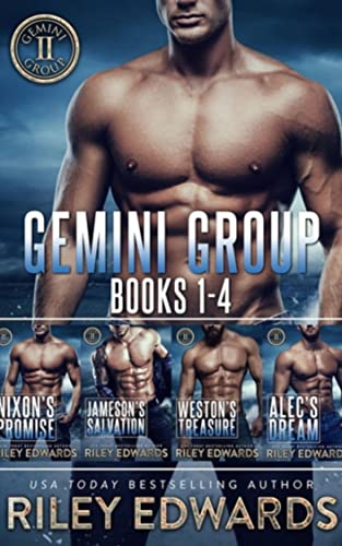 Gemini Group Boxset (Books 1-4)