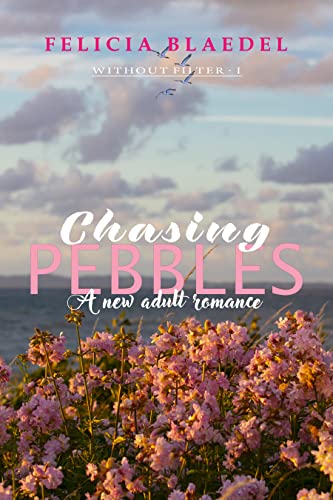 Chasing Pebbles (Without Filter Book 1)