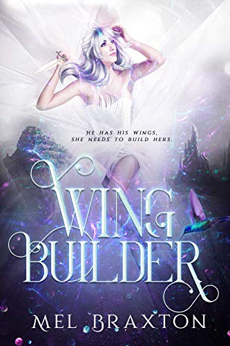 Wing Builder