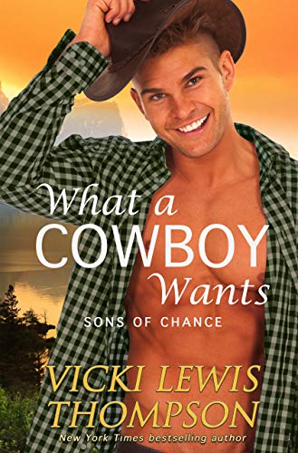 What a Cowboy Wants (Sons of Chance Book 1)