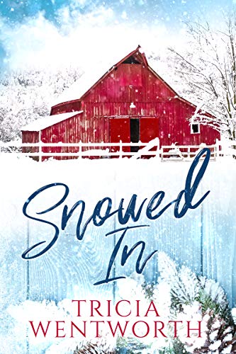Snowed In (The Snowed In Series Book 1)