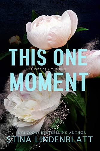 This One Moment (Pushing Limits Book 1)