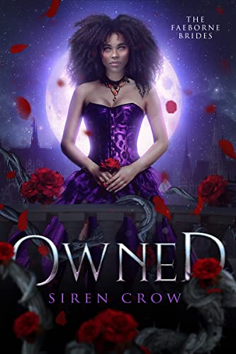 Owned (The Faeborne Brides Book 1)