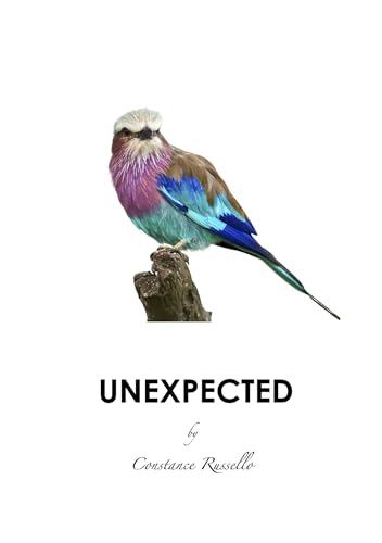 Unexpected (Encounters Book 2)