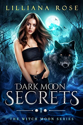 Dark Moon Secrets (The Witch Moon Series Book 1)