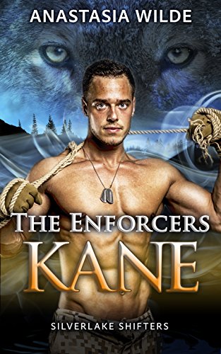 The Enforcers (Silverlake Enforcers Book 1)